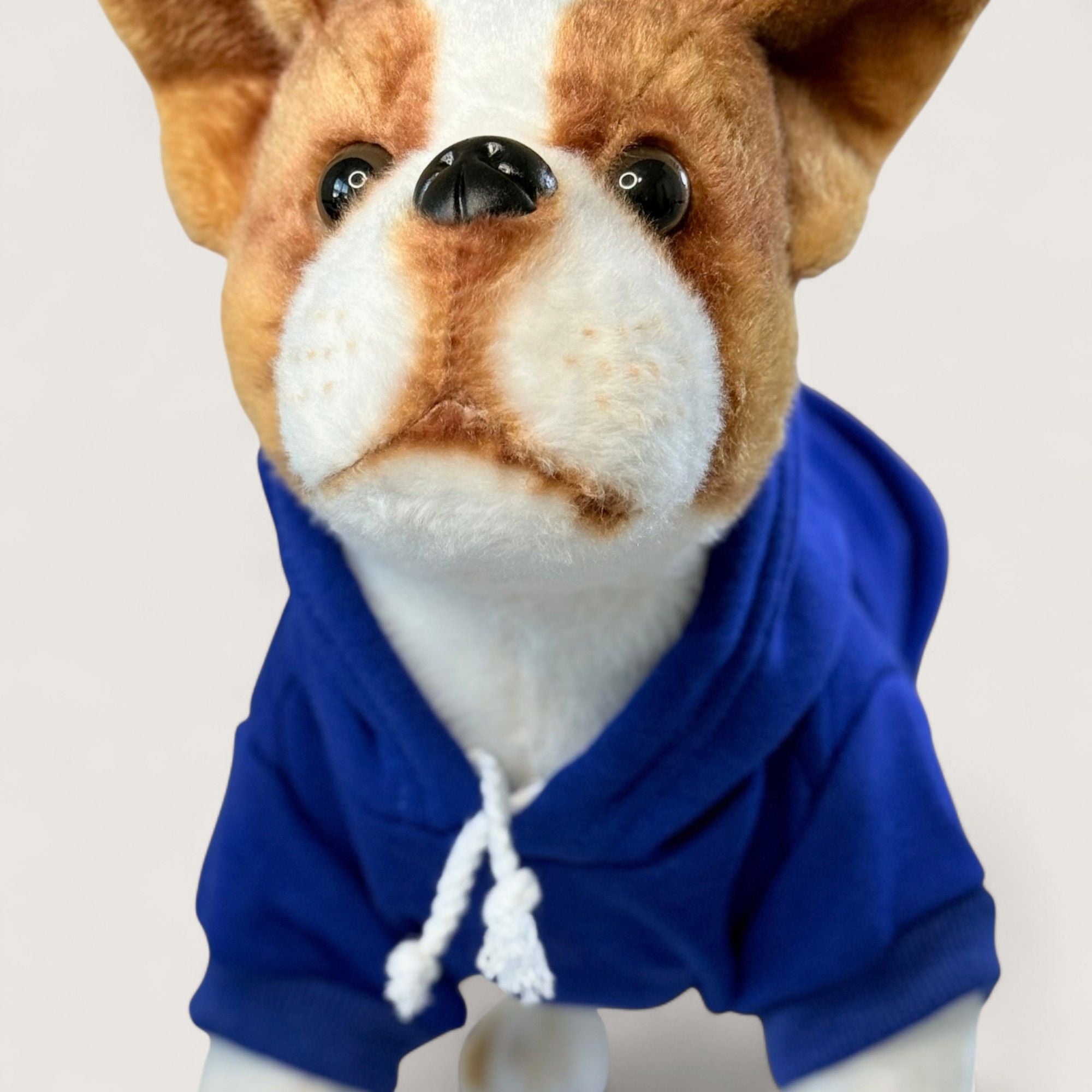 Blue Dog Hoodie - Cotton | Polyester Blend XS – blank dog apparel for makers and small brands | Fetch Blanks