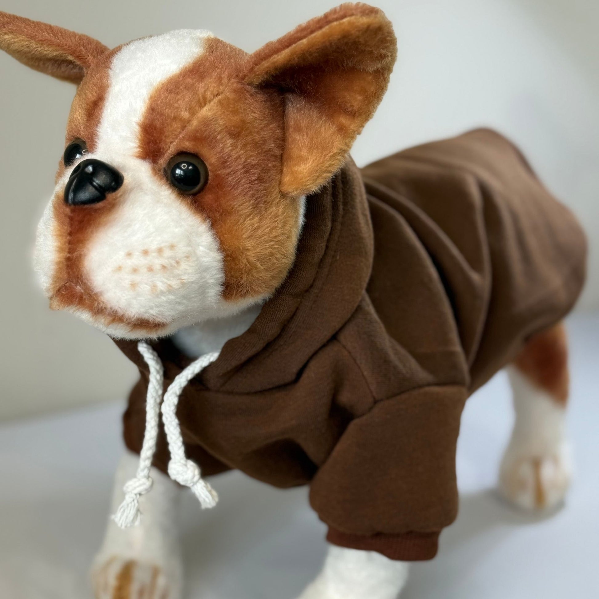 Fall Pet Hoodie Bundle - 3 Warm Autumn Colors