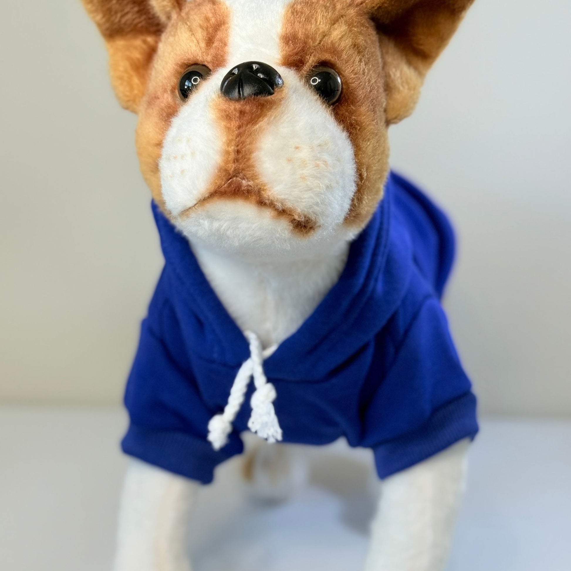 Sudaderas para perros en blanco: ropa para mascotas al por mayor para artesanos y pequeños comercios