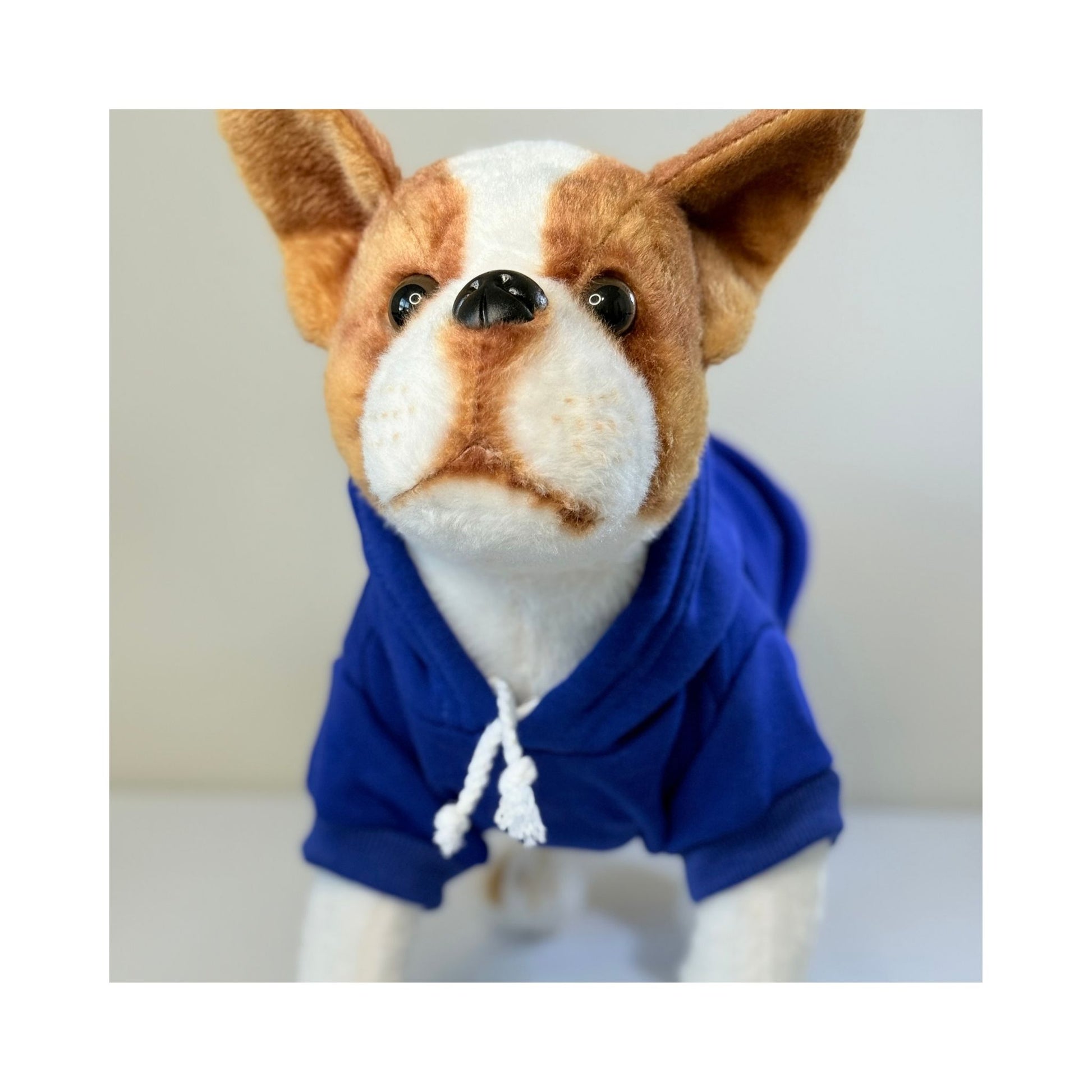 Stuffed dog model wearing a blue hoodie viewed from the front, showing the drawstring hood, short sleeves, and snug fit.
