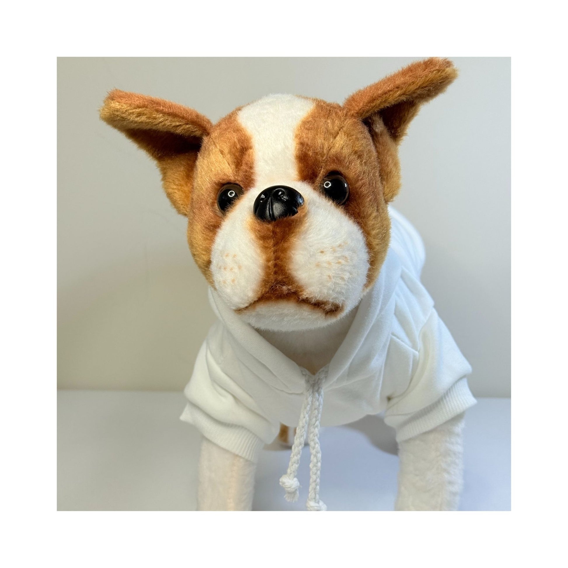 Stuffed dog model wearing a cream-colored hoodie, shown from the front to highlight the hood, sleeves, and drawstrings.