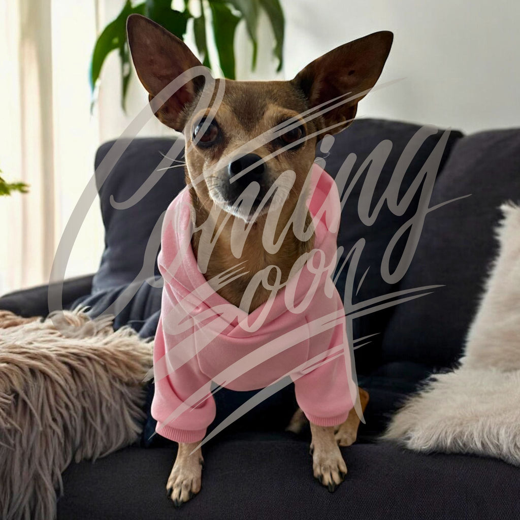 New Blank Dog Hoodie Style – Coming Soon Blue – blank dog apparel for makers and small brands | Fetch Blanks