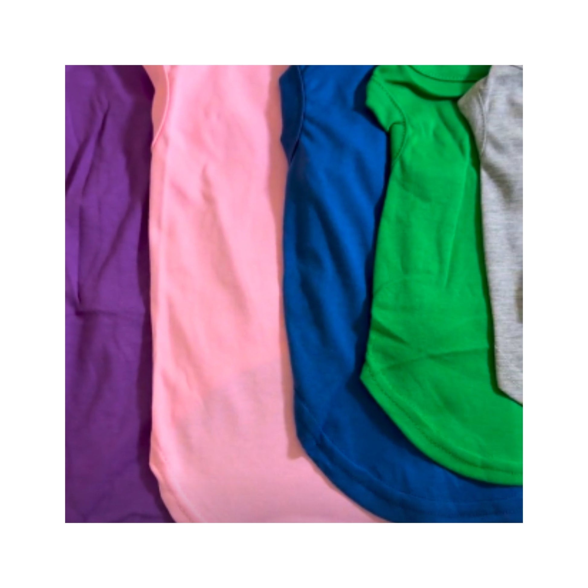 dog-tshirt-color-options-front-back-fetchblanks.mp4