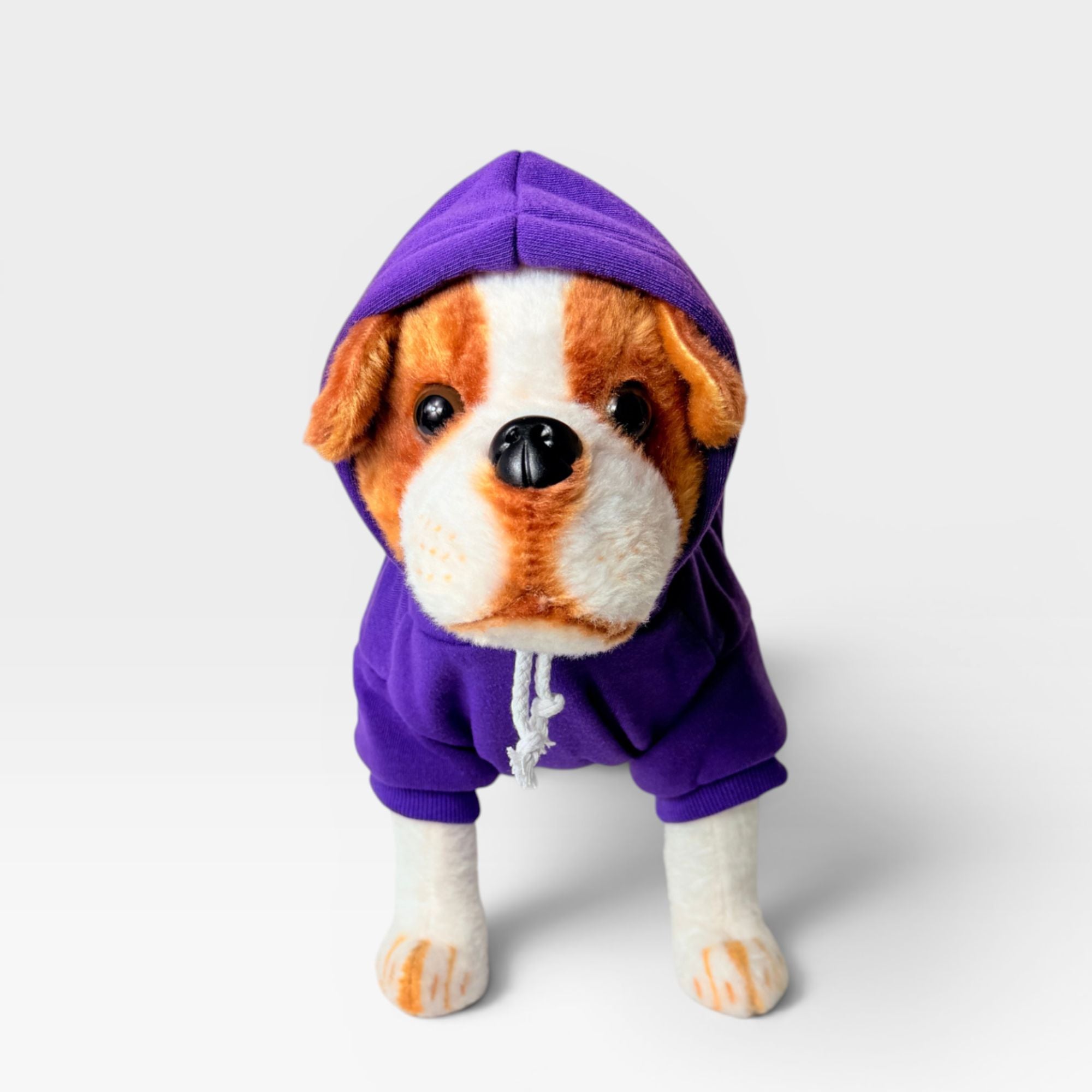 Purple blank dog hoodie shown from the front with hood up on a dog model