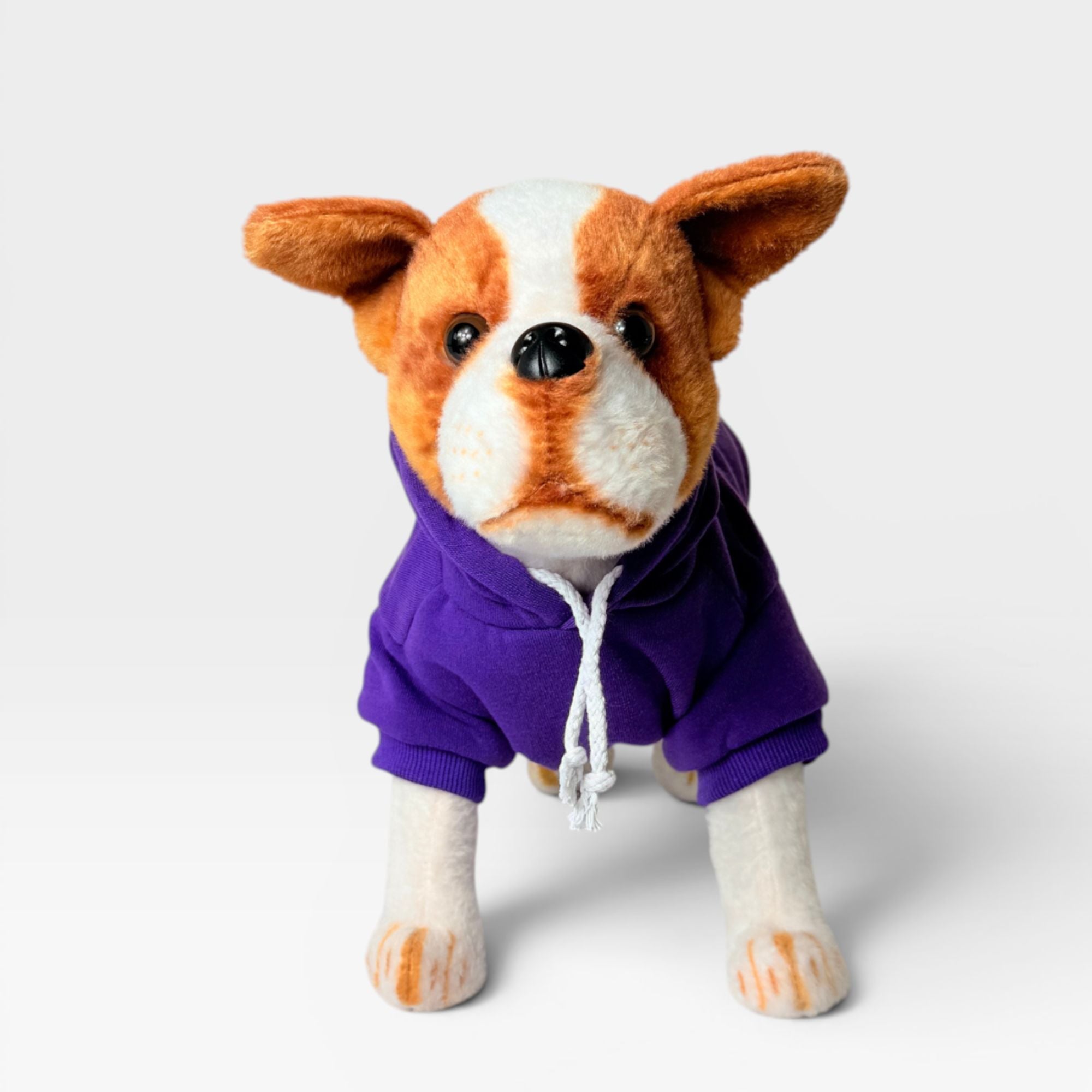 Purple blank dog hoodie shown from the front on a dog model